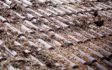 Further Quarter roof cleaning companies